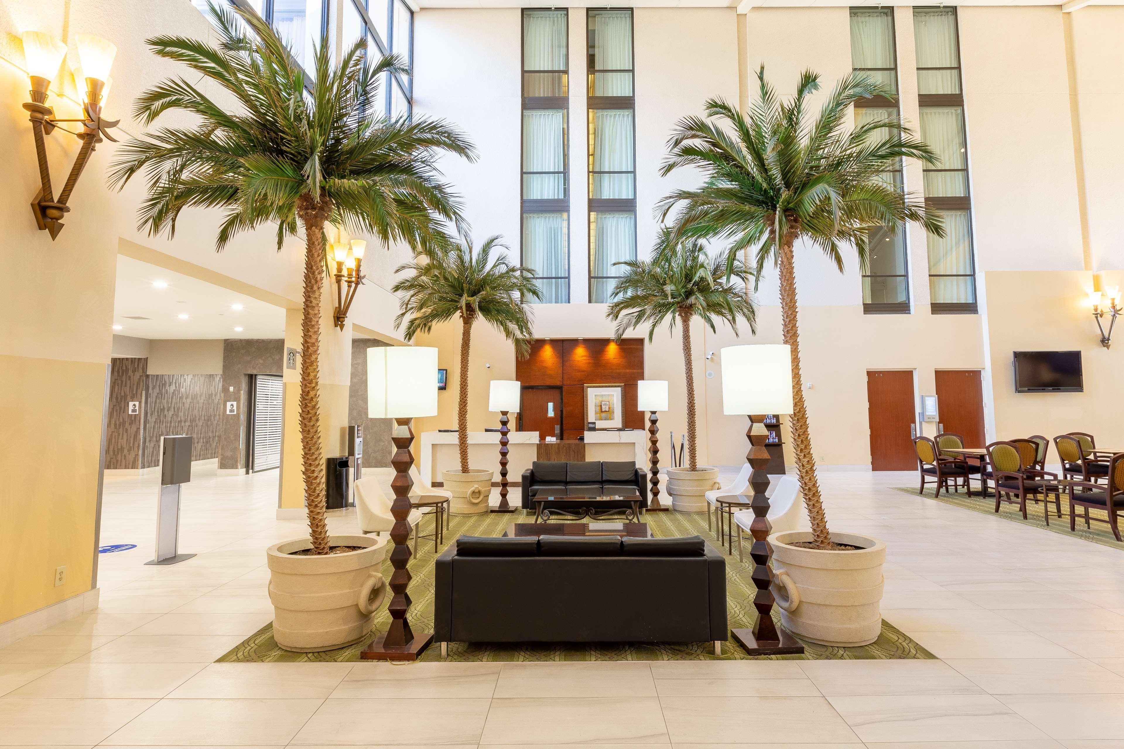 Doubletree By Hilton Dallas/ריצרדסון מראה חיצוני תמונה